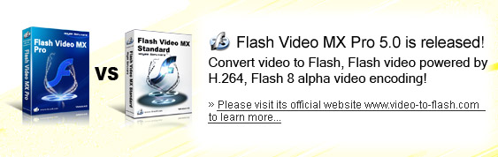 flash video converter