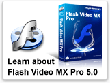 video to flv